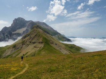 Excursión Senderismo Saint-Baudille-et-Pipet - Esclops Trièves Col de l'Aiguille - Photo