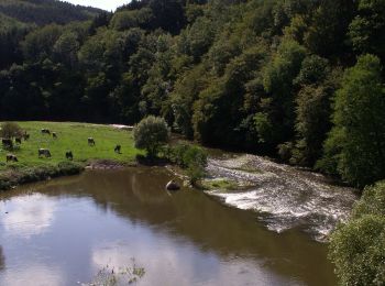 Percorso A piedi Waxweiler - Devon-Pfad - Photo