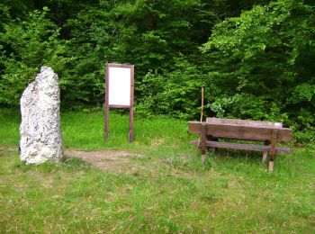 Randonnée A pied Obertrubach - Geschwand Rundwanderweg Signalstein - Photo