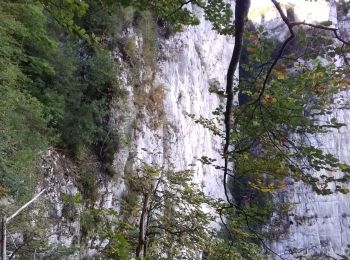 Tour Wandern Châtelus - la grotte des Gaulois, le pas de l' Echarasson, porte du diable, pas de charmate - Photo