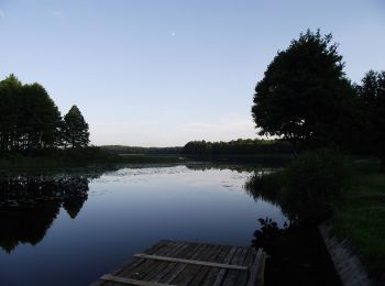 Tocht Te voet Miłomłyn - Ścieżka spacerowa - Photo