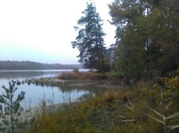 Tocht Stappen La Jemaye-Ponteyraud - Boucle du Grand Etang - Photo