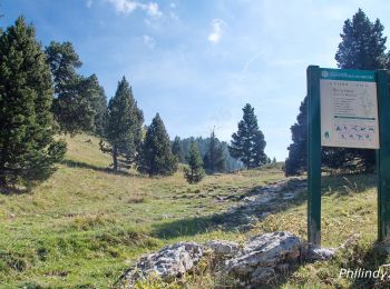 Randonnée Marche Die - Le Glandasse - Col des Bachassons par Valcroissant - Photo