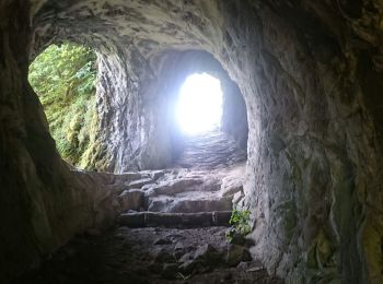 Trail Walking Kruth - Autour du lac de Kruth-Wildenstein - Photo
