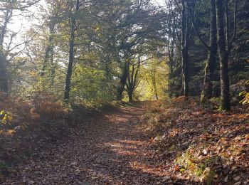 Excursión Senderismo Saint-Allouestre - CA 20191114 MATIN KERGUEHENNEC - Photo