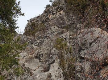 Randonnée Marche Saint-Crépin - St Crépin Thurifère vers hameau de Guion Chantal - Photo