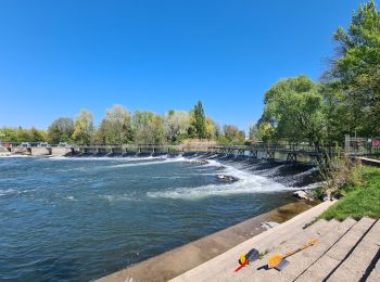 Randonnée Marche Strasbourg - Histoires d'eaux.... et de forêts au nord de Strasbourg - Photo