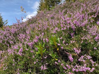 Tour Wandern Theys - A l’ascension de la roche Noire - Photo