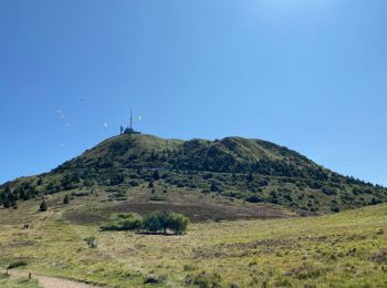 Excursión Senderismo Ceyssat - Puy-de-Dôme, Petit Suchet et Grand Suchet - Photo