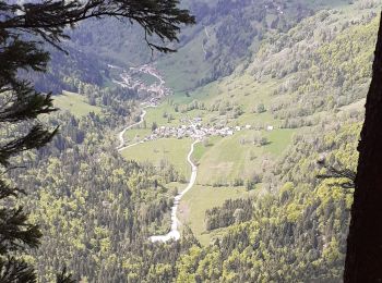 Excursión Senderismo Saint-Pierre-d'Entremont - St Meme pas de la mort - Photo