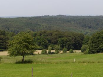 Trail On foot Gemünden (Felda) - Homberg-Felda Anschluss - Photo