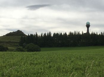 Excursión Senderismo Les Plans - Forêt domaniale d'Escandorgue par Roqueredonde et l'Engayresque - Photo