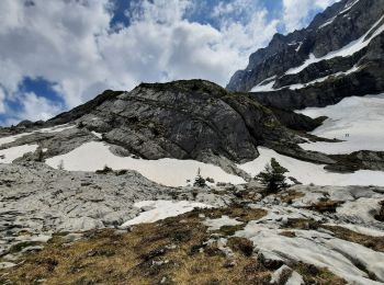 Percorso Marcia Samoëns - en direction du Lac des Chambres  - Photo