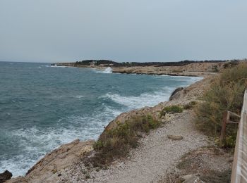 Randonnée Marche Sausset-les-Pins - la couronne sausset - Photo