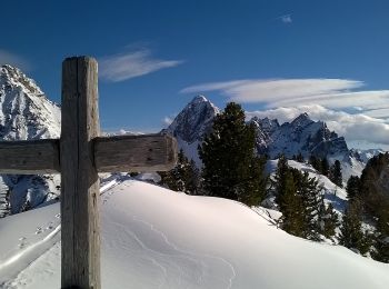 Percorso A piedi Castello Tesino - Mulattiera di Sadole - Photo