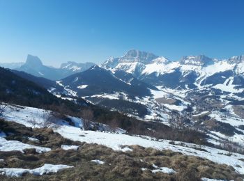 Excursión Raquetas de nieve Gresse-en-Vercors - Pas du Serpaton en circuit - Photo