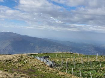 Trail Walking Mercus-Garrabet - Mont Fourcat le 2.11.24 - Photo