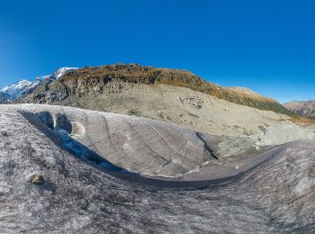 Tour Zu Fuß Pontresina - Morteratsch-chamanna da Boval - Photo