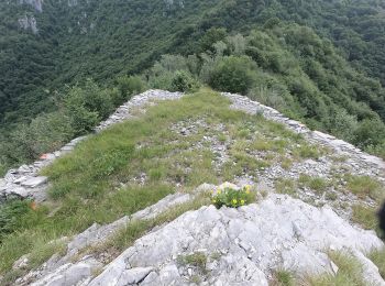 Excursión A pie Erve - Sentiero 831: Cappella del Corno (Erve) - M. Spedone - Nesolio - Erve - Photo