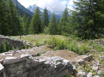 Tour Zu Fuß Morgex - Itinerario 16 Col San Carlo Colle Della Croce - Photo