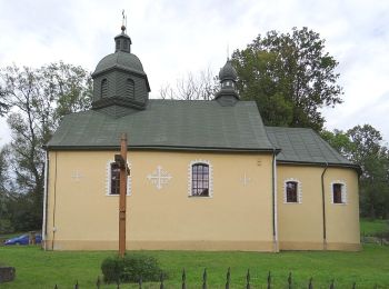 Randonnée A pied Ustrzyki Dolne - Ustrzyki Dolne-Kamienna Laworta-źródła Strwiąża-Mały Król - Photo