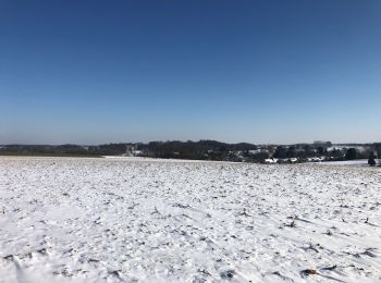 Randonnée Marche Chaumont-Gistoux - Commone-Vieusart-Villers - Photo