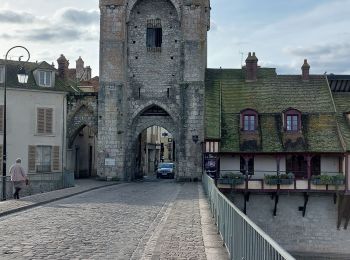 Trail Other activity Moret-Loing-et-Orvanne - MORET sur LOING - Photo