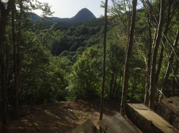 Excursión Senderismo Sainte-Eulalie - Sentier du Pradà au départ du Gerbier - Photo