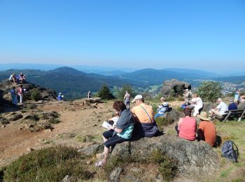 Excursión A pie Bodenmais - 10 Bodenmais - Silberberg - Photo