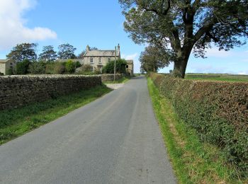 Tour Zu Fuß Harrogate - Six Dales Trail - Photo