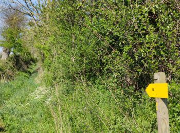 Randonnée Marche Neuilly-le-Vendin - Boucle des 2 départements - Photo