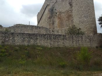 Tocht Stappen Le Thor - Château de Thouzon  - Photo