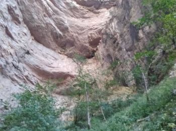 Tour Wandern Châtelus - grotte de Bournillon - Photo