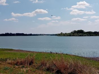 Tour Wandern La Tessoualle - Lac de Ribou - Lac de Verdon - Photo