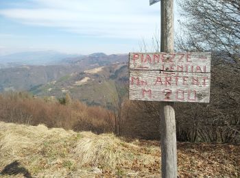 Trail Trail Borgo Valbelluna - malga Garda - Photo