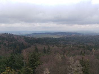 Tocht Te voet Písek - Cesta drahokamů - Photo