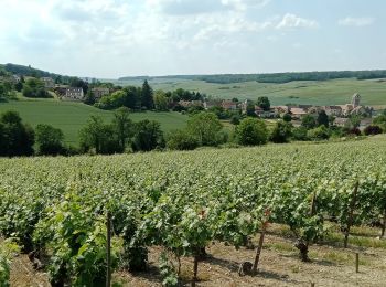 Tour Wandern Vallées-en-Champagne - la Chapelle Monthodon du 07/06/2023 - Photo