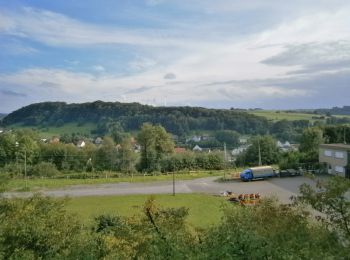 Tocht Te voet Altenbeken - Viadukt-Wanderweg [Altenbeken] - Photo