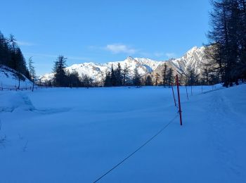 Excursión Raquetas de nieve Montricher-Albanne - 74-Paradisblanc_BellePlagne_7.3km130m - Photo