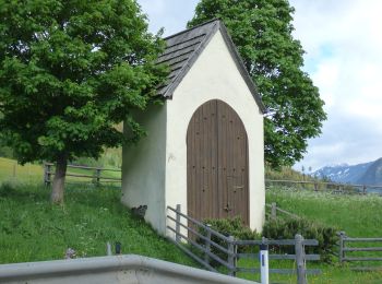 Percorso A piedi Mauterndorf - Wanderweg 38, Rundweg Mitterberg - Photo