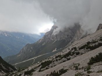 Trail On foot Calalzo di Cadore - IT-255 - Photo