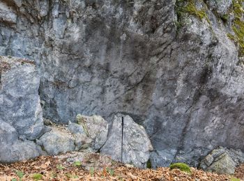 Randonnée A pied Traunkirchen - Buchberg - Mühlbachberg - Zellerlweg - Traunkirchen Ort - Photo