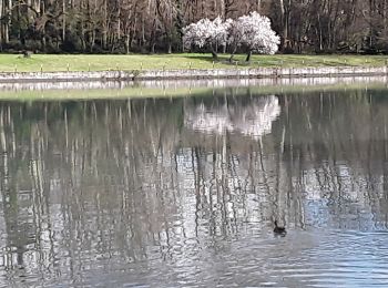 Randonnée Marche Bourg-de-Péage - berges de l'Isère  - Photo