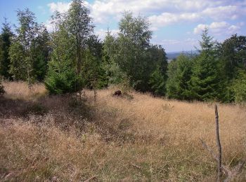 Randonnée A pied Neuhütten - Dollbergschleife - Photo