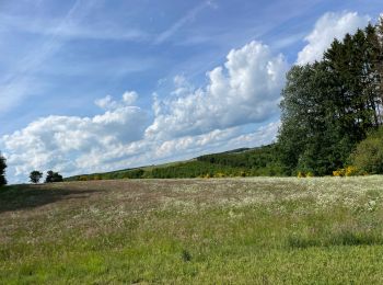 Tocht Paardrijden Fauvillers - Bavigne Tripoux 2022 - Photo