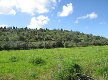 Trail On foot Paderne - Percurso do Cerro Grande - Photo