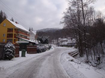 Randonnée A pied Rzyki - Szlak Białych Serc - Photo