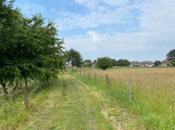 Percorso Marcia Merchtem - Brussegem nord 7,3 km - Photo