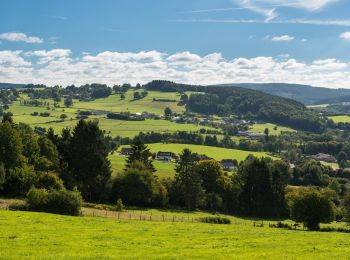 Trail Mountain bike Malmedy - Sur la voie verte - Photo