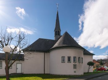 Tocht Te voet Borchen - Archäologischer Wanderweg Borchen - Photo